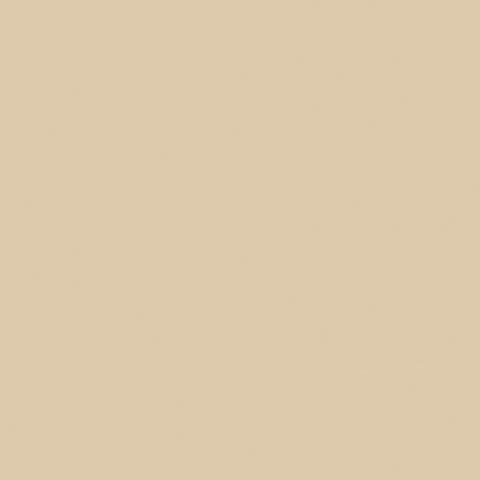Mission Models Water-Based Acrylic Weathering Paint 1oz 29.6ml - MMW-006 Transparent Wash Dust 1