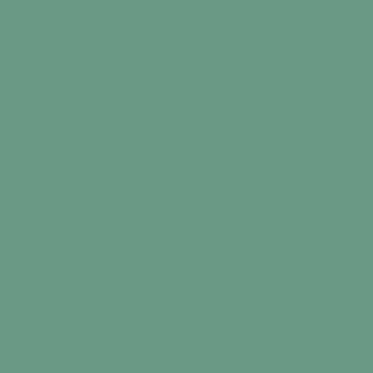 Tru-Color Flat Brushable Acrylic Paint - Light Green - 1oz 29.6mL