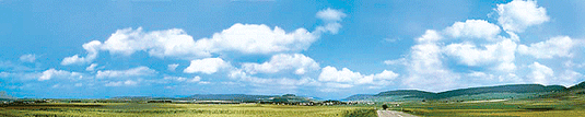 Faller Schwarzwald-Baar Background Scene - 12'9 x 26  388 x 65cm
