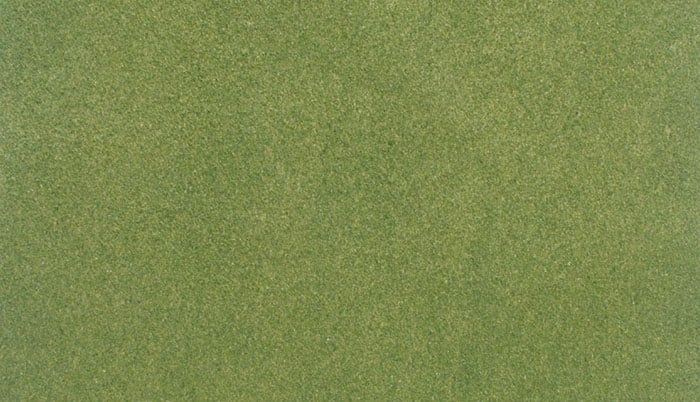 Load image into Gallery viewer, Woodland Scenics Ready Grass Vinyl Mat - 50 x 100" 125 x 250cm

