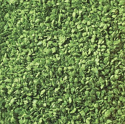 Noch Leaves - Light Green 50g