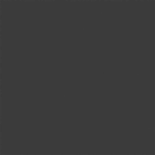 Tru-Color Flat Brushable Acrylic Paint - Grimy Black - 1oz 29.6mL