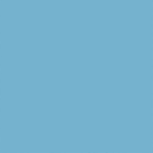 Tru-Color Flat Brushable Acrylic Paint - Light Blue - 1oz 29.6mL