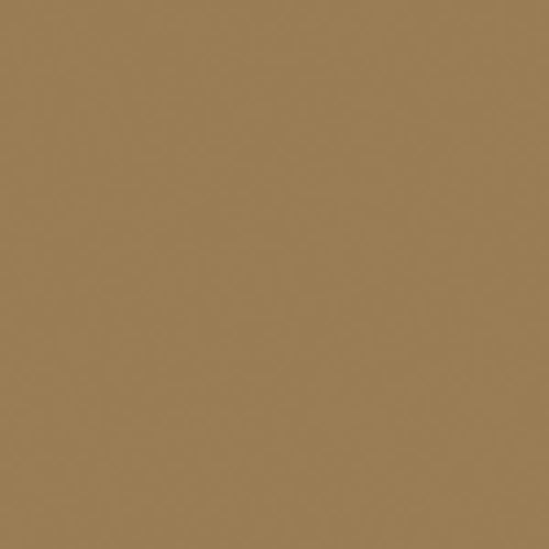 Tru-Color Flat Brushable Acrylic Paint - Dark Tan - 1oz 29.6mL