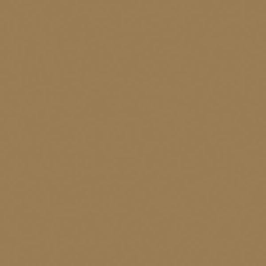 Tru-Color Flat Brushable Acrylic Paint - Dark Tan - 1oz 29.6mL