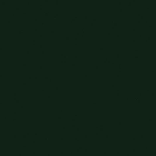 Tru-Color Flat Brushable Acrylic Paint - Dark Green - 1oz 29.6mL