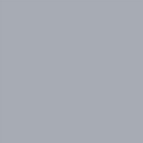 Tru-Color Flat Brushable Acrylic Paint - Stucco Gray - 1oz 29.6mL