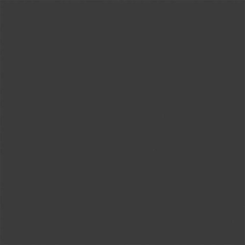Tru-Color Flat Brushable Acrylic Paint - Grimy Black - 2oz 29.6mL