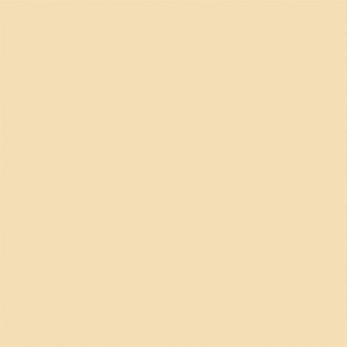 Tru-Color Flat Sprayable Acrylic Paint - Stucco Cream - 1oz 29.6mL