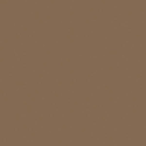 Tru-Color Flat Brushable Acrylic Paint - Earth - 1oz 29.6mL