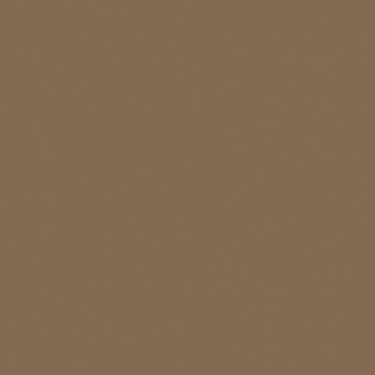 Tru-Color Flat Brushable Acrylic Paint - Earth - 1oz 29.6mL