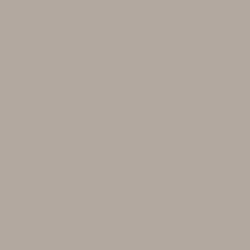 Tru-Color Sprayable Railroad Color Acrylic Paint - CN Lettering Gray - 1oz 29.6mL