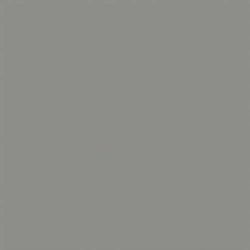 Tru-Color Flat Brushable Acrylic Paint - Weathered Gray Wood - 1oz 29.6mL