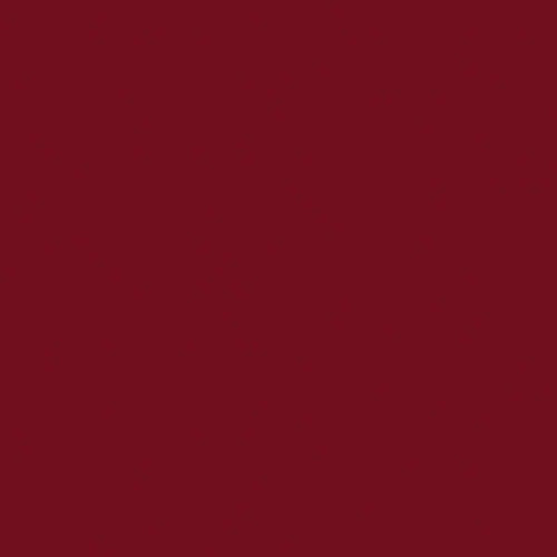 Tru-Color Flat Brushable Acrylic Paint - Rust - 2oz 29.6mL
