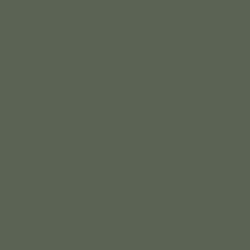 Tru-Color Sprayable Railroad Color Acrylic Paint - BC Rail Light Green - 1oz 29.6mL