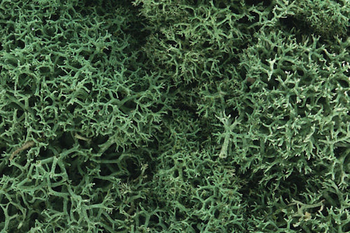 Woodland Scenics Lichen Light Green 1.5qts 1.4L