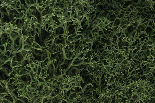 Woodland Scenics Lichen Medium Green 1.5qts 1.4L