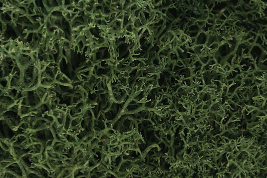 Woodland Scenics Lichen Medium Green 1.5qts 1.4L