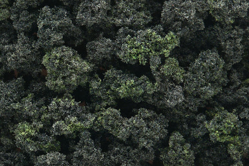 Woodland Scenics Bushes Clump-Foliage 18 cu.in (Bag) Forest Blend