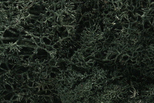 Woodland Scenics Lichen Dark Green 1.5qts 1.4L