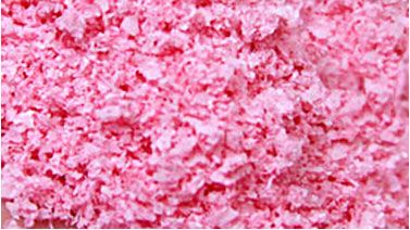 Scenic Express SuperLeaf Flowering Blossom 16oz Shaker - Pink Petunia