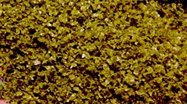 Scenic Express SuperLeaf Scale Model Leaf Flake 16oz Shaker - Moss Green