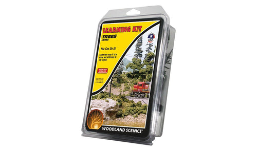 Woodland Scenics Learning Kit Road System