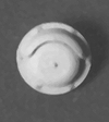 Detail Associates HO Bells - Western Cullen Hayes (2)