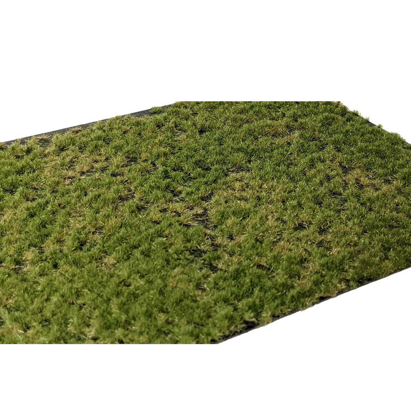 Load image into Gallery viewer, Martin Welberg – Touffes d'herbe étagées (Layered Tufts) – 2-2 mm / Fin d'été (Late Summer) (440-P223)
