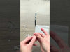 Excel Stainless Steel Tweezers - 4-3/4 Sharp Pointed