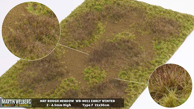 Chargez l'image dans la visionneuse de la galerie, Martin Welberg – Tapis de prairie sauvage (Rough Meadow) – Début d'hiver – type F (Early Winter) / Herbe seule (Grass) (440-M011)
