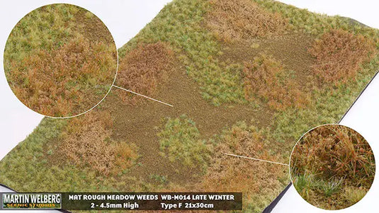 Martin Welberg – Tapis de prairie sauvage (Rough Meadow) – Fin d'hiver – type G (Late Winter) / Avec mauvaises herbes (Weeds) (440-M014)