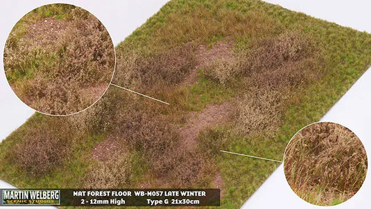 Martin Welberg – Tapis de sol forestier, fin d'hiver type G (Forest Floor) (440-M057)