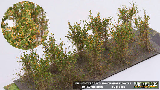 Martin Welberg – Buissons (Bushes) – Type B / Fleurs orange (Orange Flowers) (440-SBO)